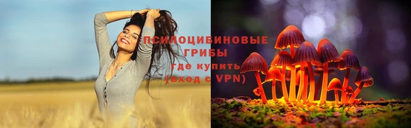 apvp Зерноград