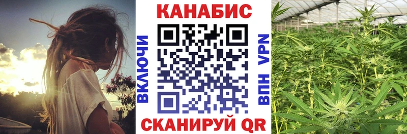 Шишки марихуана семена продажа наркотиков Могоча